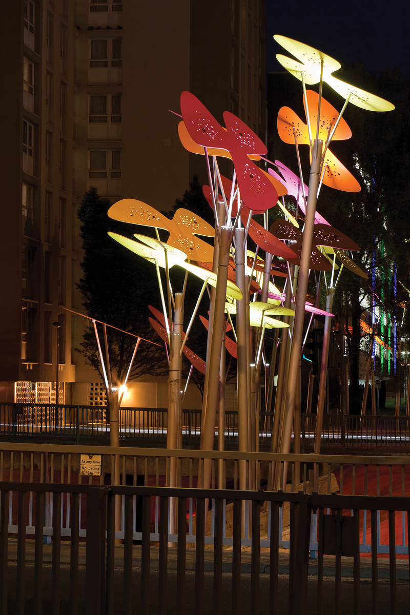 Phoenix Flowers Dave Morris Photography